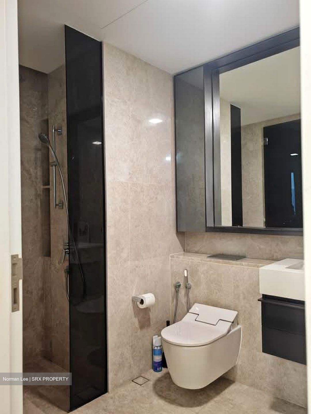 Riviere  (D3), Condominium #543308741